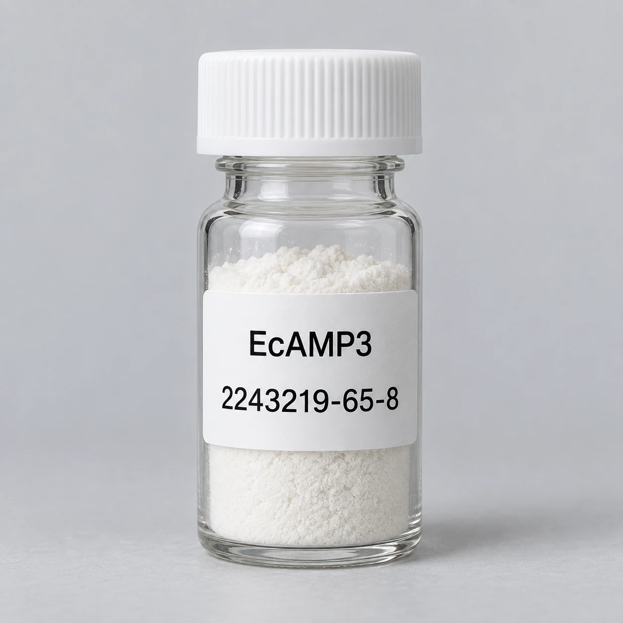 EcAMP3 — product presentation