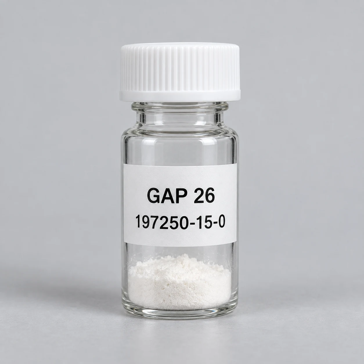 GAP 26 — product presentation